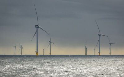 Als zelfs de wind niet waait voor de markt